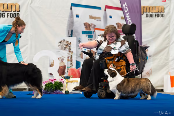 For Pets Cup — DSC03971