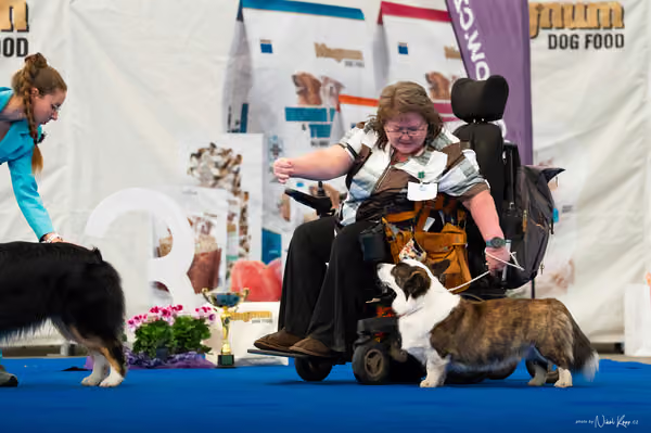 For Pets Cup — DSC03972