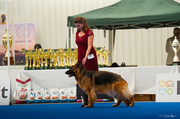 For Pets Cup — DSC03974