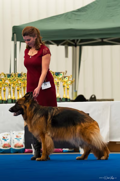 For Pets Cup — DSC03975