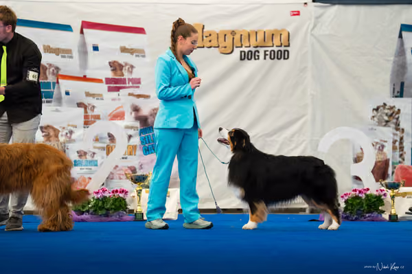 For Pets Cup — DSC03978