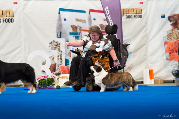 For Pets Cup — DSC03980