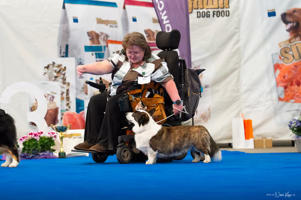For Pets Cup — DSC03981