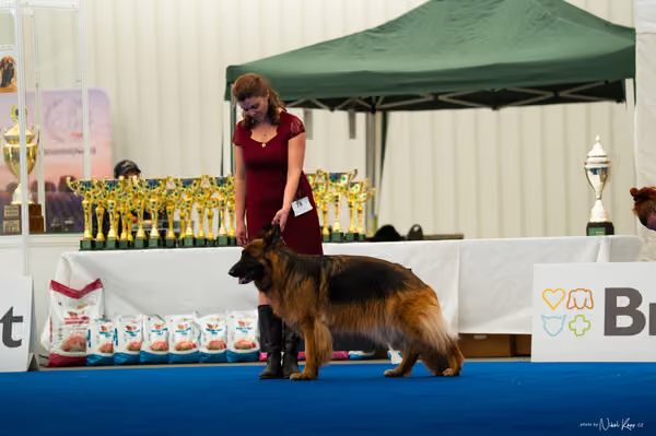 For Pets Cup — DSC03982