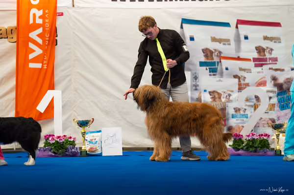 For Pets Cup — DSC03984
