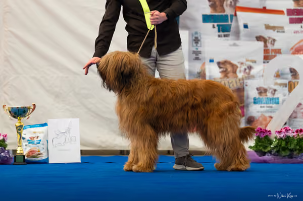 For Pets Cup — DSC03985