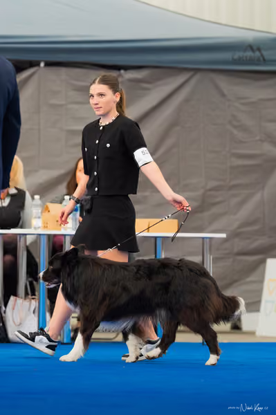 For Pets Cup — DSC03988