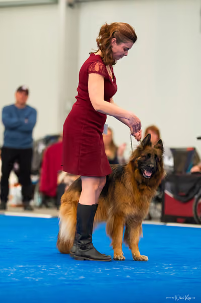 For Pets Cup – DOSPĚLÝ