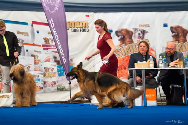For Pets Cup – DOSPĚLÝ