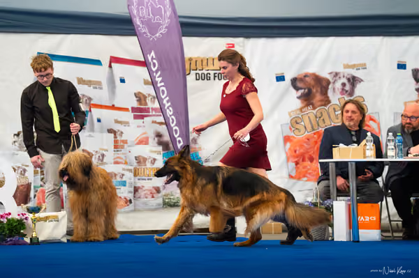 For Pets Cup – DOSPĚLÝ