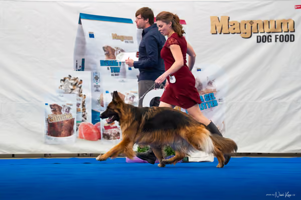 For Pets Cup – DOSPĚLÝ