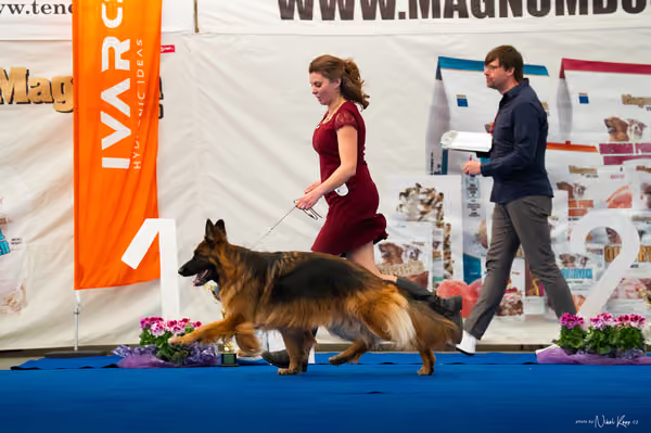 For Pets Cup – DOSPĚLÝ
