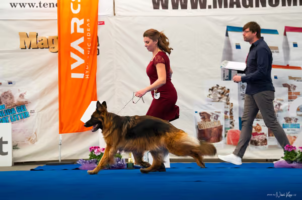 For Pets Cup – DOSPĚLÝ