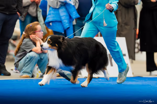 For Pets Cup – DOSPĚLÝ