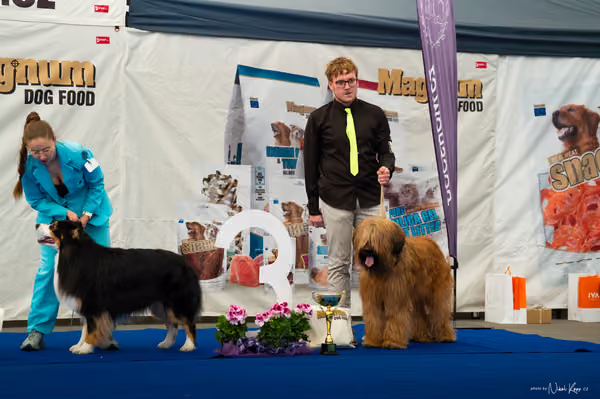 For Pets Cup – DOSPĚLÝ