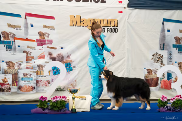 For Pets Cup – DOSPĚLÝ