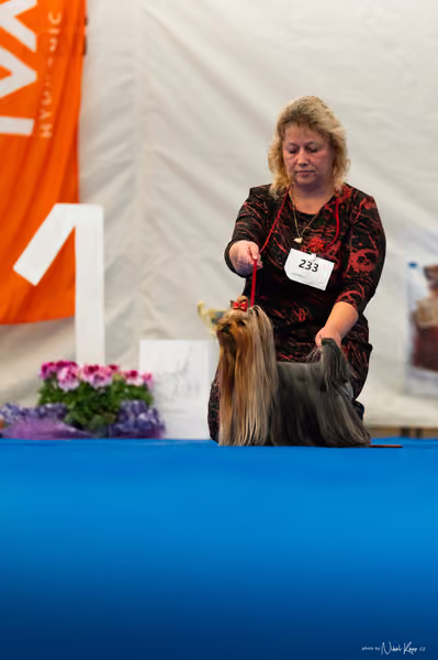 For Pets Cup – DOSPĚLÝ