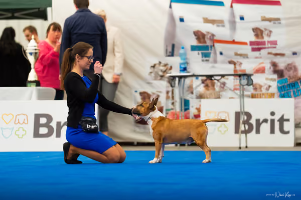For Pets Cup – DOSPĚLÝ