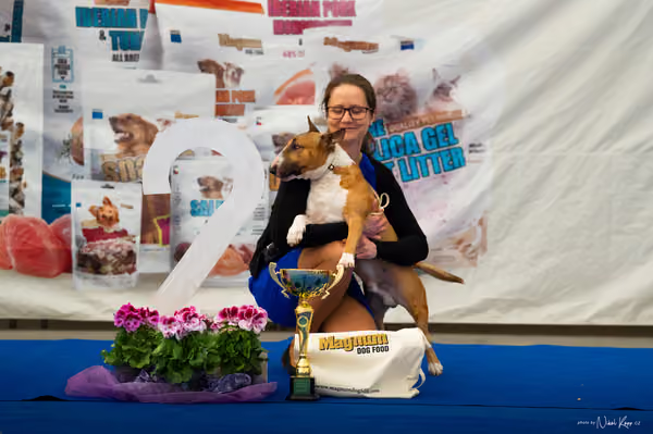 For Pets Cup – DOSPĚLÝ