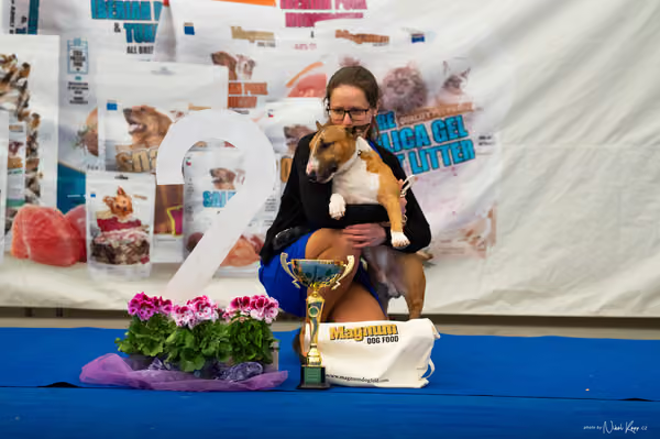 For Pets Cup – DOSPĚLÝ