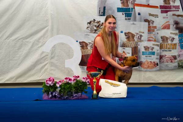 For Pets Cup – DOSPĚLÝ