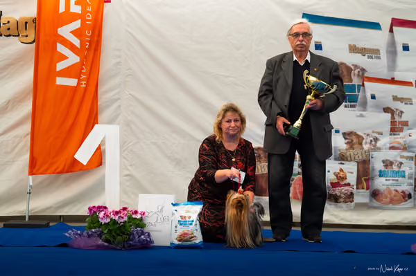 For Pets Cup – DOSPĚLÝ