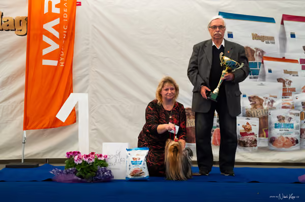 For Pets Cup – DOSPĚLÝ