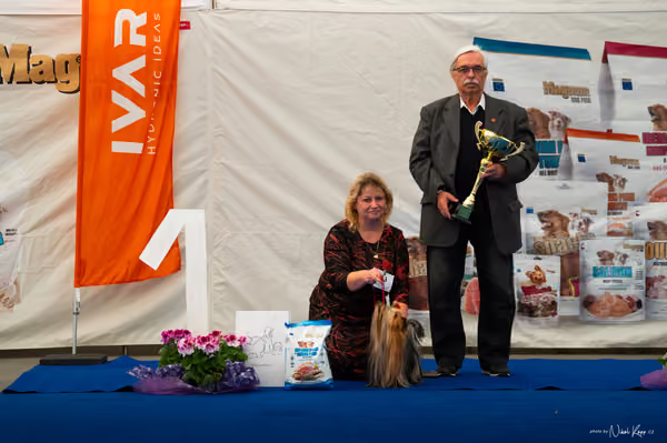 For Pets Cup – DOSPĚLÝ