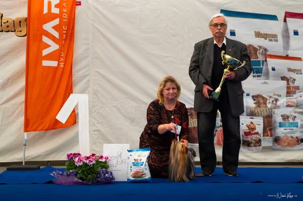 For Pets Cup – DOSPĚLÝ