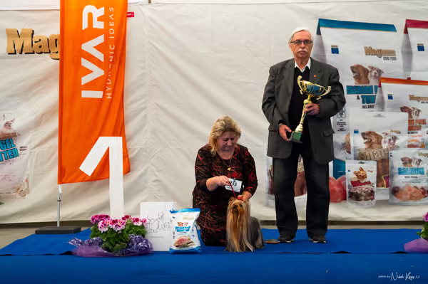 For Pets Cup – DOSPĚLÝ