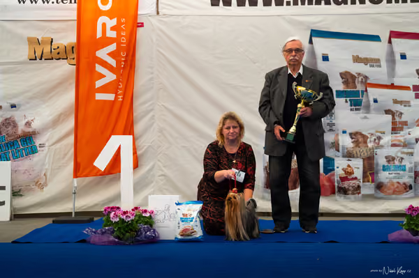 For Pets Cup – DOSPĚLÝ