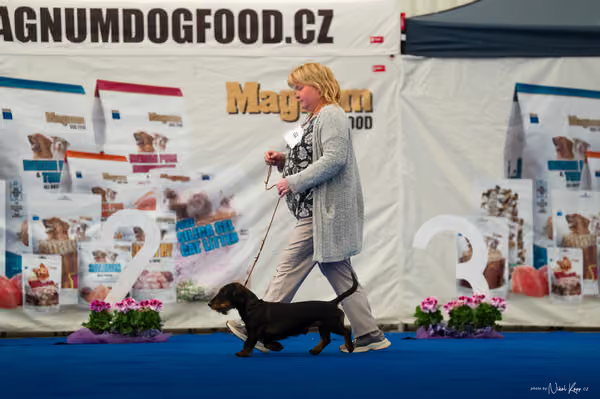 For Pets Cup – DOSPĚLÝ