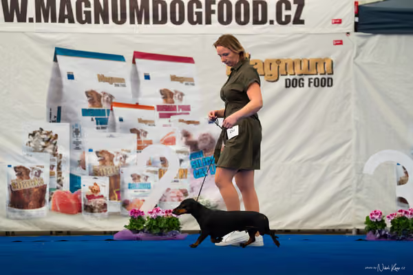 For Pets Cup – DOSPĚLÝ