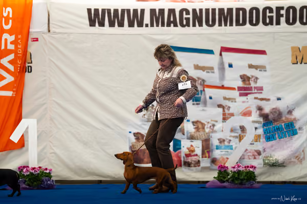 For Pets Cup – DOSPĚLÝ