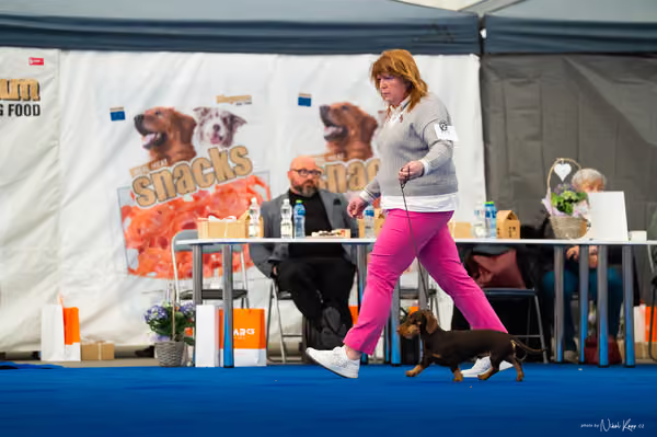 For Pets Cup – DOSPĚLÝ