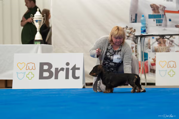 For Pets Cup – DOSPĚLÝ