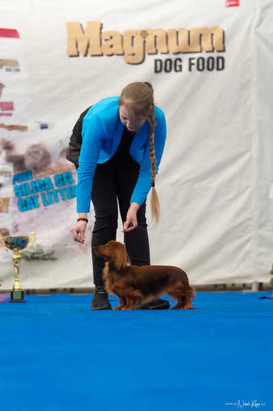For Pets Cup – DOSPĚLÝ
