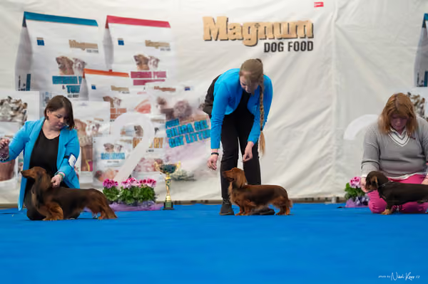 For Pets Cup – DOSPĚLÝ