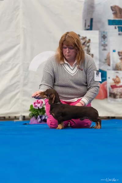For Pets Cup – DOSPĚLÝ