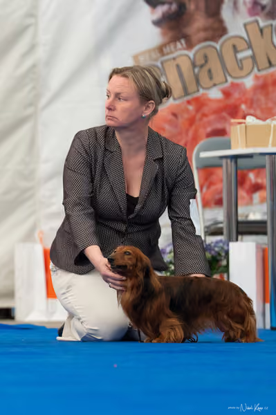 For Pets Cup – DOSPĚLÝ