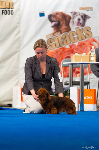 For Pets Cup – DOSPĚLÝ