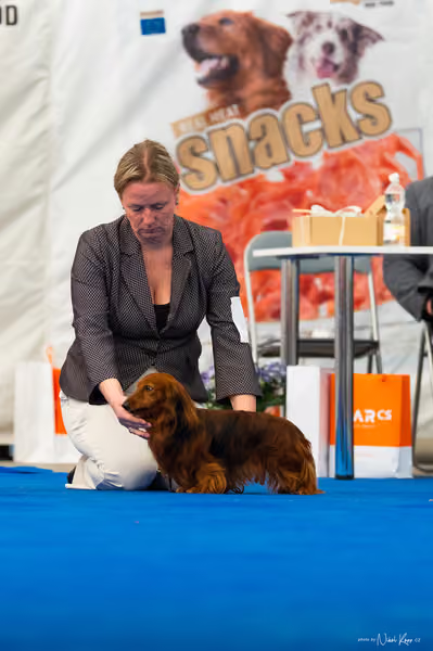 For Pets Cup – DOSPĚLÝ