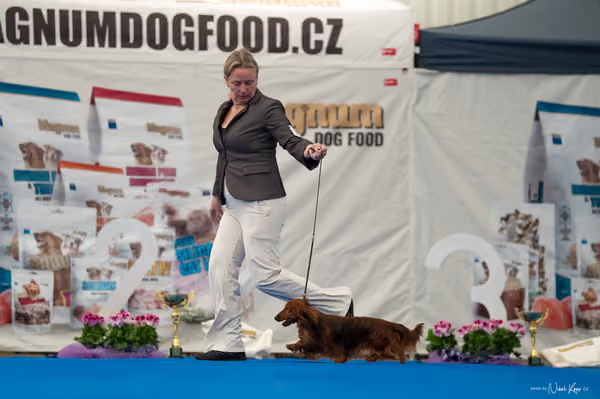 For Pets Cup – DOSPĚLÝ