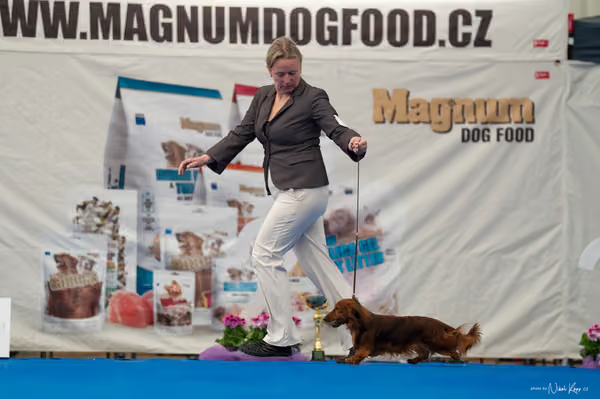 For Pets Cup – DOSPĚLÝ
