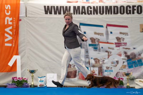 For Pets Cup – DOSPĚLÝ