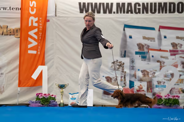 For Pets Cup – DOSPĚLÝ