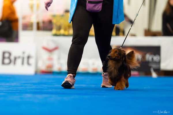 For Pets Cup – DOSPĚLÝ