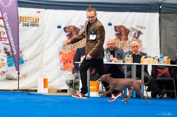 For Pets Cup – DOSPĚLÝ