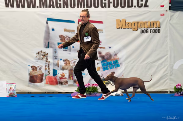 For Pets Cup – DOSPĚLÝ