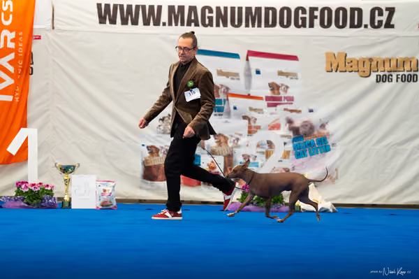 For Pets Cup – DOSPĚLÝ